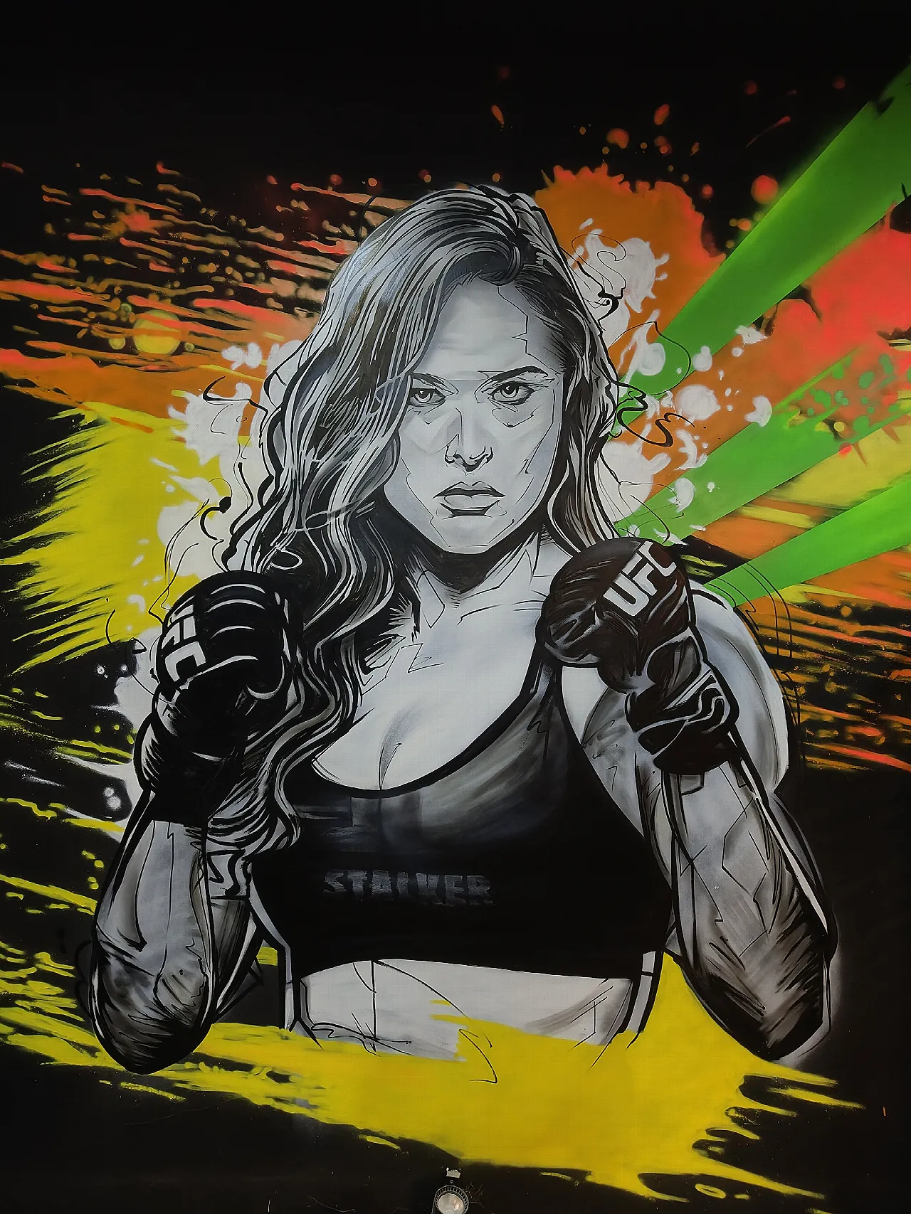 Ronda ROUSEY - Duvar Resmi