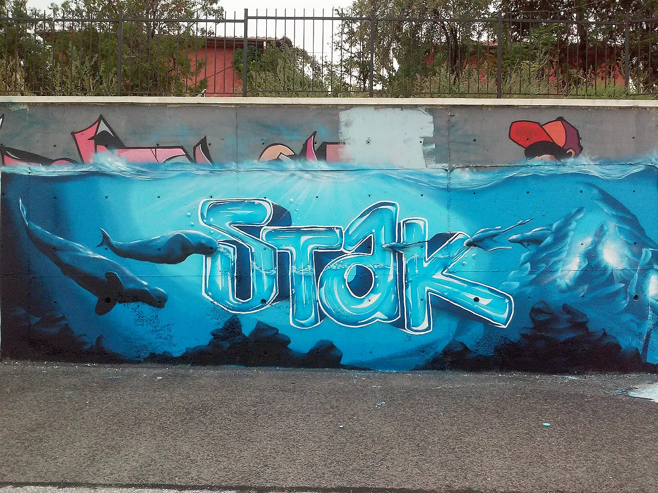 stak deniz altı graffiti